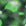 8D31MA-E80