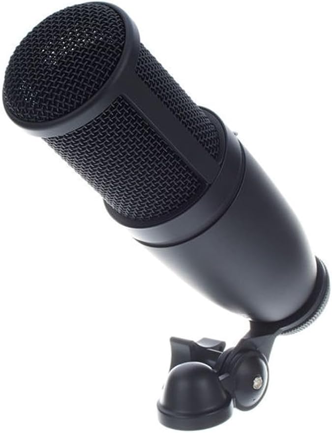 AKG P120 High-Performance General Purpose Recording Wired Microphone