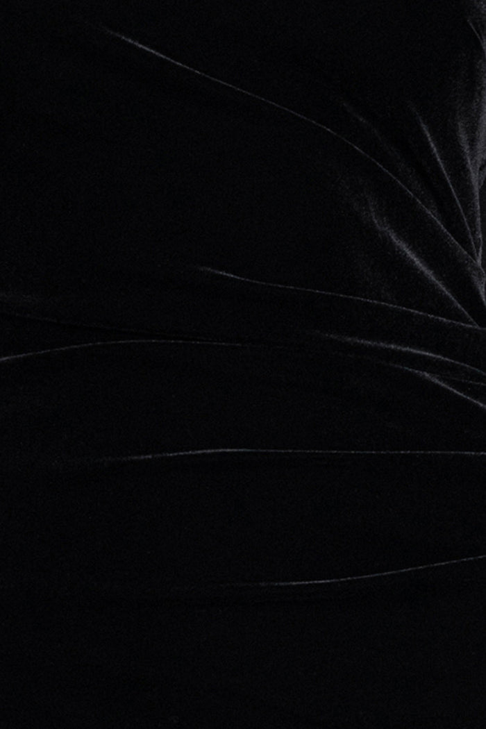 "Alison" Velvet Mesh Long Sleeve Dress