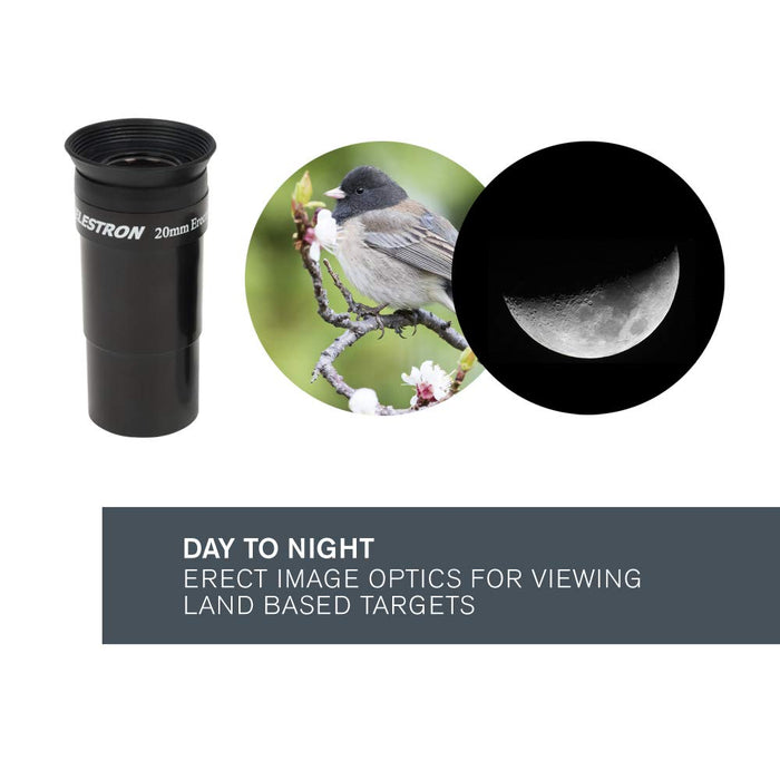 Celestron AstroMaster 130 EQ Telescope (Grey) (Without Counterweights)