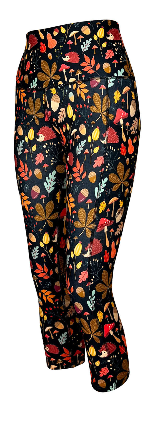 Hedgehog Hideaway + Pockets