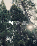 Sunlight filters through tall pine trees; the logo and “PHASE ONE FOUNDATION” highlight THE GREAT.'s Phase One Donation Match, symbolizing hope and support for clinical cancer research this Giving Tuesday.