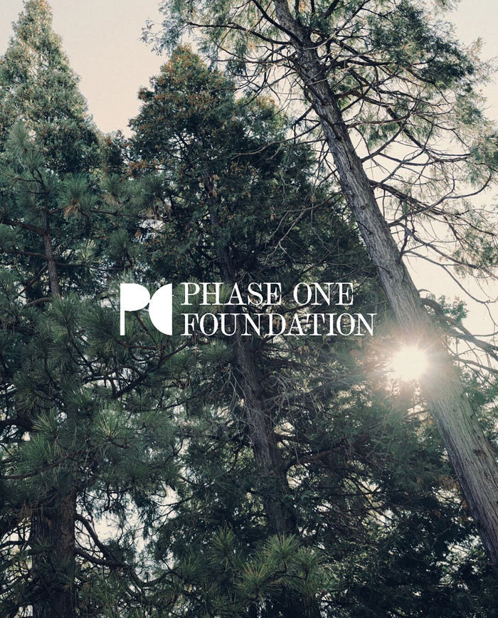 Sunlight filters through tall pine trees; the logo and “PHASE ONE FOUNDATION” highlight THE GREAT.'s Phase One Donation Match, symbolizing hope and support for clinical cancer research this Giving Tuesday.