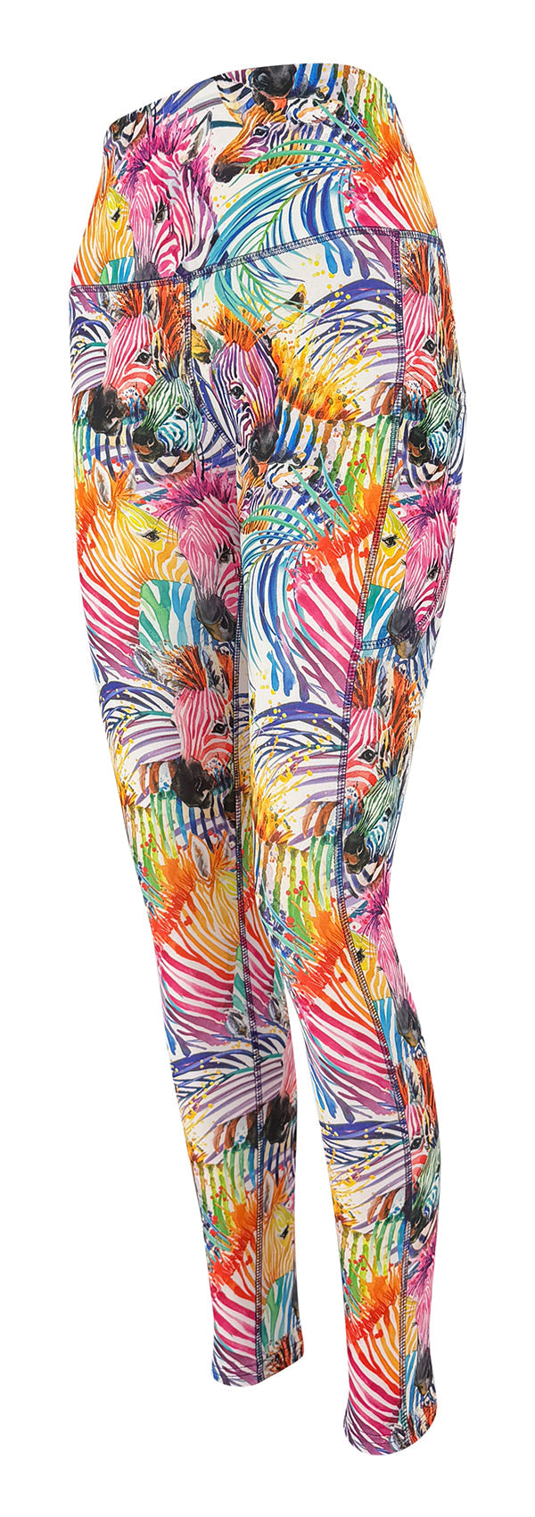 Rainbow Zebra + Pockets