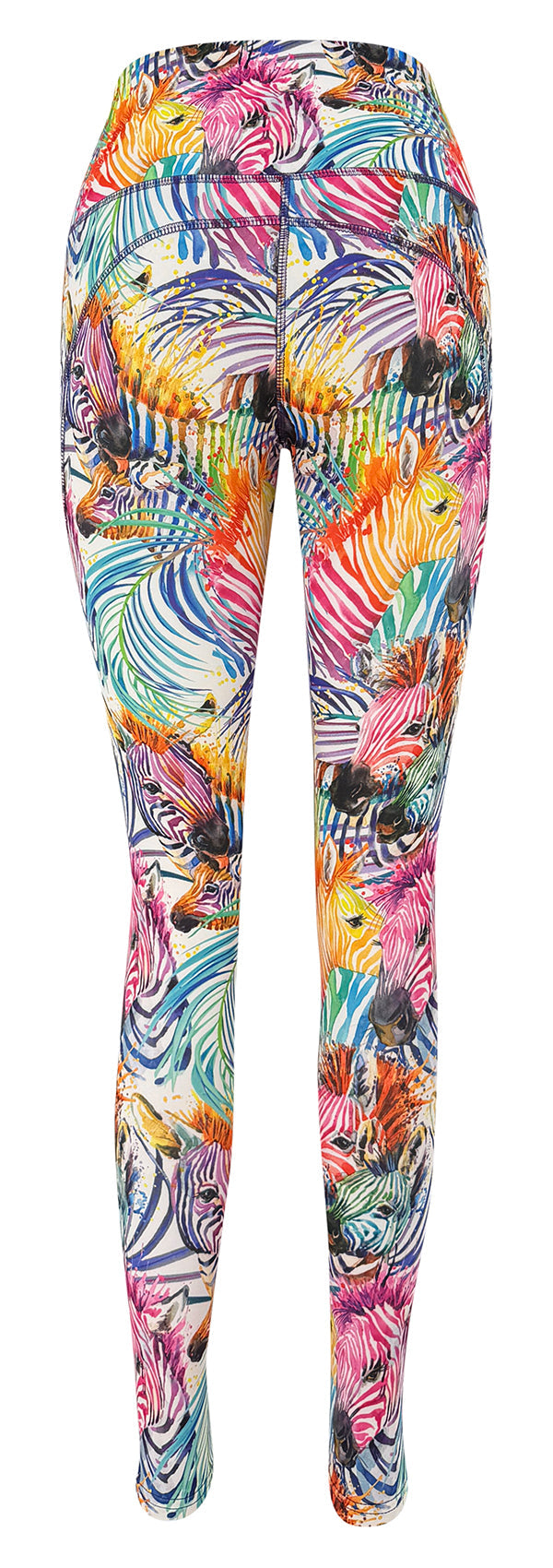 Rainbow Zebra + Pockets