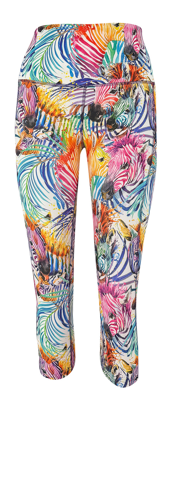 Rainbow Zebra + Pockets