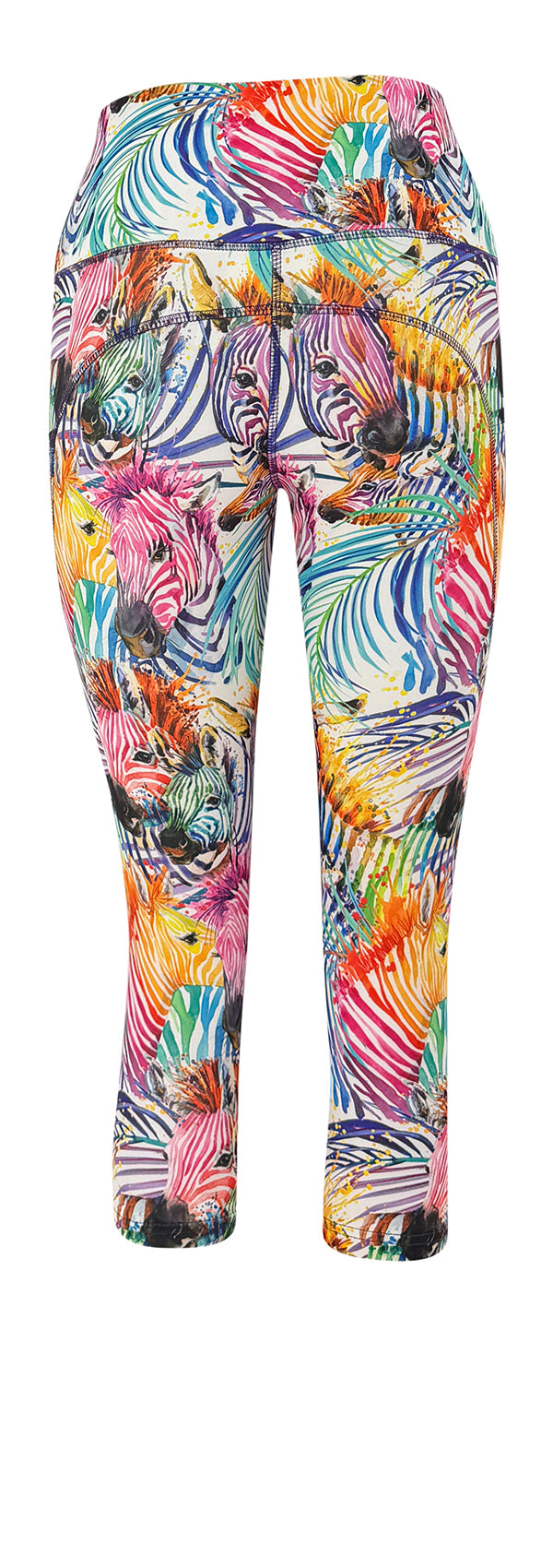 Rainbow Zebra + Pockets